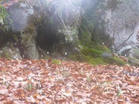 photo coins arrondis