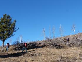 photo coins arrondis