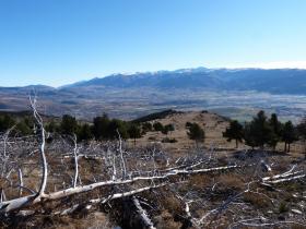 photo coins arrondis