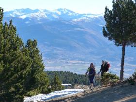 photo coins arrondis