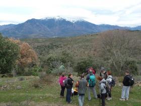 photo coins arrondis