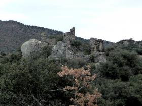 photo coins arrondis