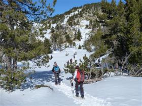 photo coins arrondis