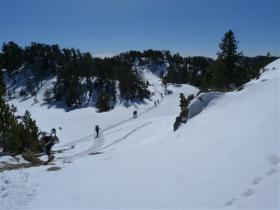 photo coins arrondis