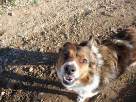 photo coins arrondis