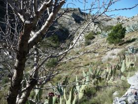 photo coins arrondis