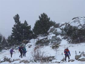 photo coins arrondis