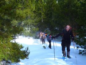 photo coins arrondis