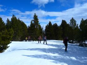 photo coins arrondis