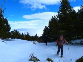 photo coins arrondis