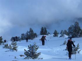 photo coins arrondis