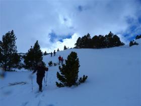 photo coins arrondis