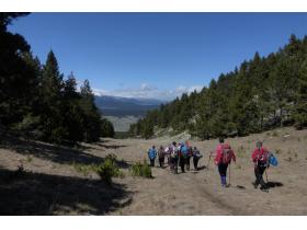 photo coins arrondis