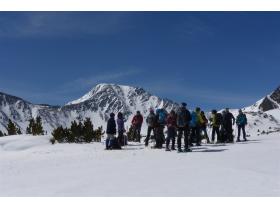 photo coins arrondis