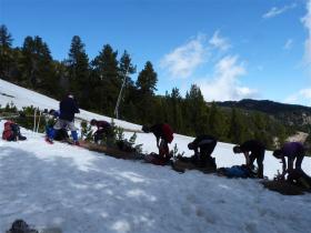 photo coins arrondis