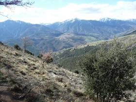 photo coins arrondis