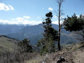 photo coins arrondis