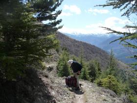 photo coins arrondis