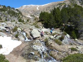 photo coins arrondis