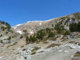 photo coins arrondis