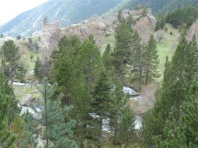 photo coins arrondis