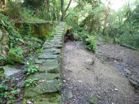 photo coins arrondis