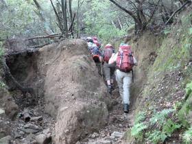 photo coins arrondis