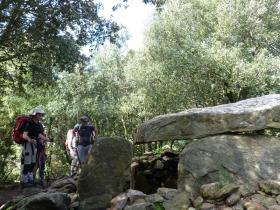 photo coins arrondis