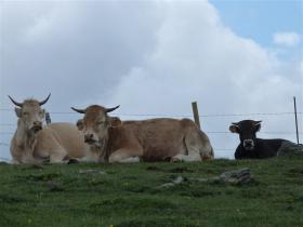 photo coins arrondis