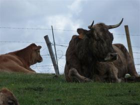 photo coins arrondis