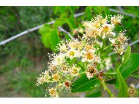 photo coins arrondis