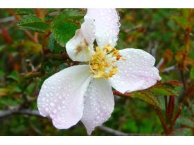 photo coins arrondis