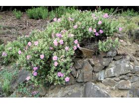 photo coins arrondis