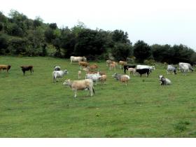 photo coins arrondis