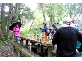 photo coins arrondis