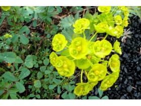 photo coins arrondis