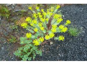 photo coins arrondis