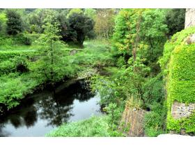 photo coins arrondis