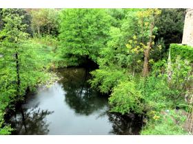 photo coins arrondis