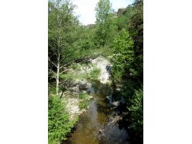 photo coins arrondis