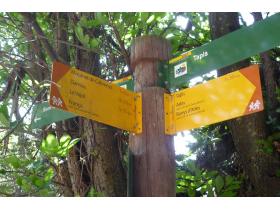 photo coins arrondis