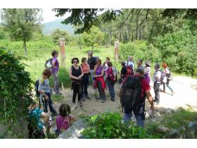 photo coins arrondis