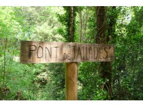 photo coins arrondis