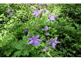 photo coins arrondis