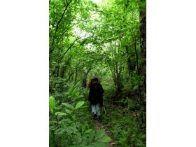 photo coins arrondis