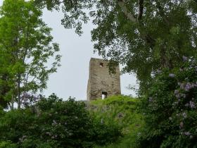 photo coins arrondis