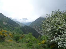 photo coins arrondis