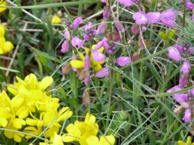 photo coins arrondis