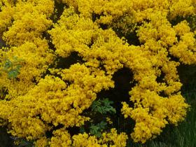 photo coins arrondis