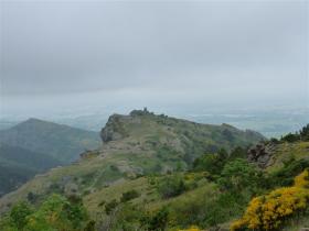 photo coins arrondis